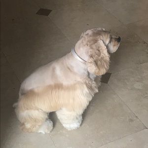 Meet your Posher, Beatriz